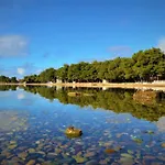 Rosa Apartman Pirovac