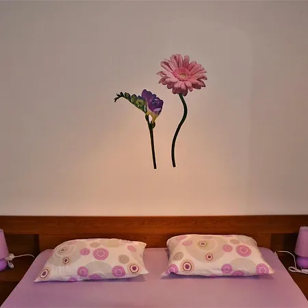 Rosa *