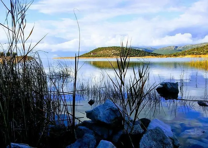 Apartment Rosa Pirovac